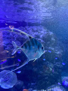 横浜・八景島シーパラダイスに投稿された画像（2021/11/23）