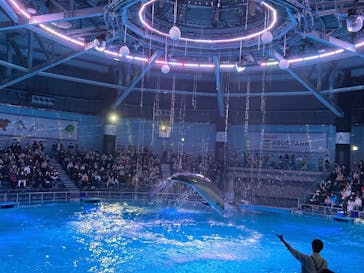 マクセル アクアパーク品川に投稿された画像（2021/11/23）