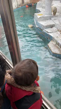 天王寺動物園に投稿された画像（2021/11/23）