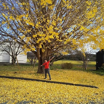 いちはらアート×ミックス2020＋に投稿された画像（2021/11/23）