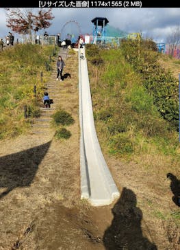 さがみ湖MORI MORIに投稿された画像（2021/11/23）