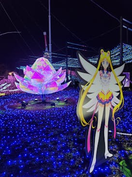 さがみ湖MORI MORIに投稿された画像（2021/11/23）