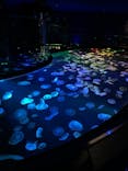 すみだ水族館に投稿された画像（2021/11/24）