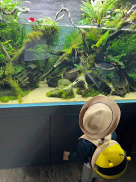 すみだ水族館に投稿された画像（2021/11/24）