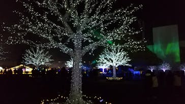 東京メガイルミに投稿された画像（2021/11/24）