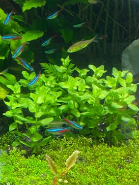 サンシャイン水族館に投稿された画像（2021/11/24）