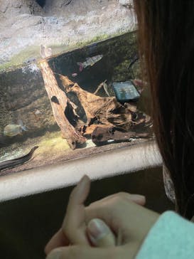 サンシャイン水族館に投稿された画像（2021/11/24）