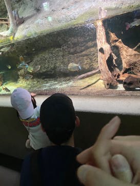 サンシャイン水族館に投稿された画像（2021/11/24）