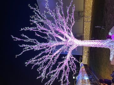 東京メガイルミに投稿された画像（2021/11/24）