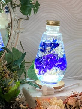 ずこうしつ〜sugamo〜に投稿された画像（2021/11/24）