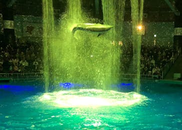 マクセル アクアパーク品川に投稿された画像（2021/11/24）