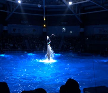 マクセル アクアパーク品川に投稿された画像（2021/11/24）