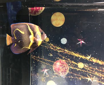 マクセル アクアパーク品川に投稿された画像（2021/11/24）