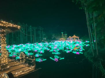 美らヤシパークオキナワ・東南植物楽園に投稿された画像（2021/11/24）