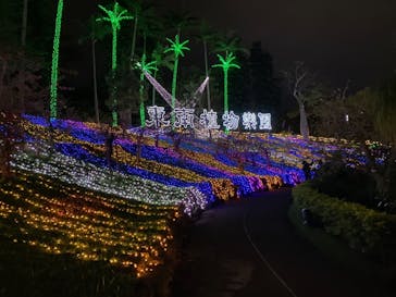 美らヤシパークオキナワ・東南植物楽園に投稿された画像（2021/11/24）