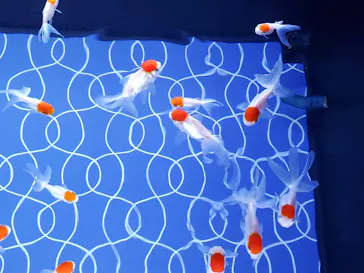 すみだ水族館に投稿された画像（2021/11/24）