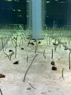 すみだ水族館に投稿された画像（2021/11/24）