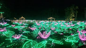 美らヤシパークオキナワ・東南植物楽園に投稿された画像（2021/11/24）