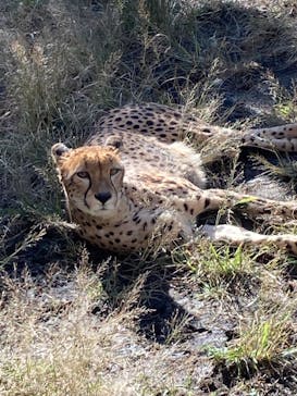 伊豆アニマルキングダムに投稿された画像（2021/11/24）