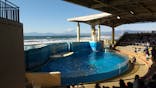 新江ノ島水族館に投稿された画像（2021/11/24）