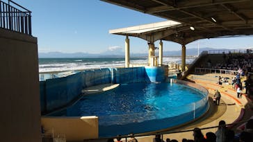 新江ノ島水族館に投稿された画像（2021/11/24）