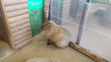 新江ノ島水族館に投稿された画像（2021/11/24）