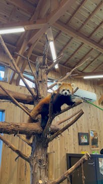 伊豆シャボテン動物公園に投稿された画像（2021/11/24）