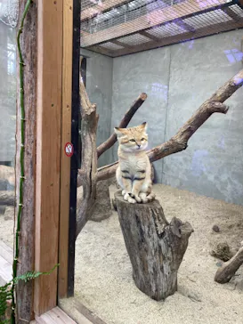 神戸どうぶつ王国に投稿された画像（2021/11/24）