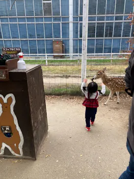 神戸どうぶつ王国に投稿された画像（2021/11/24）