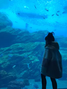 仙台うみの杜水族館に投稿された画像（2021/11/24）