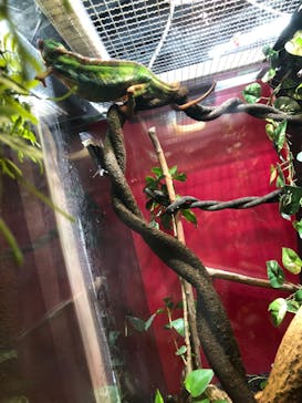 カワスイ 川崎⽔族館に投稿された画像（2021/11/24）