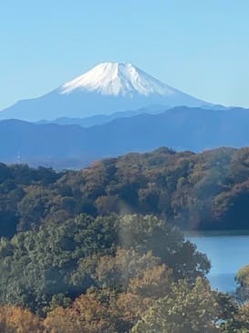 西武園ゆうえんちに投稿された画像（2021/11/24）