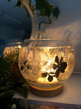 ずこうしつ〜sugamo〜に投稿された画像（2021/11/24）