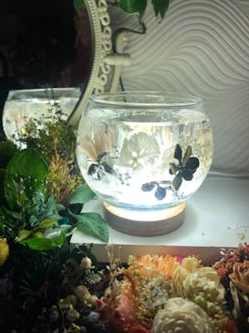 ずこうしつ〜sugamo〜に投稿された画像（2021/11/24）