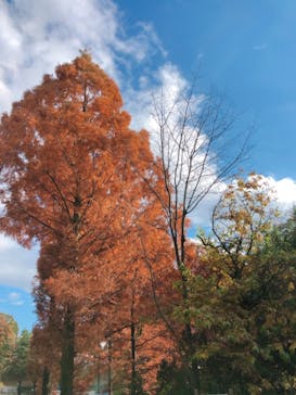 野外民族博物館 リトルワールドに投稿された画像（2021/11/24）