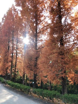 野外民族博物館 リトルワールドに投稿された画像（2021/11/24）