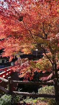 アソビュー株式会社　150881に投稿された画像（2021/11/24）