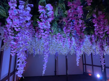 東京メガイルミに投稿された画像（2021/11/24）