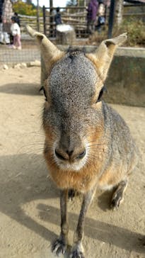 群馬サファリパークに投稿された画像（2021/11/24）