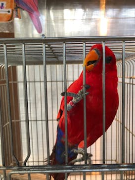 富士花鳥園に投稿された画像（2021/11/24）