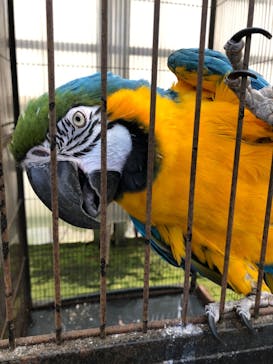 富士花鳥園に投稿された画像（2021/11/24）