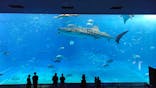 沖縄美ら海水族館に投稿された画像（2021/11/24）