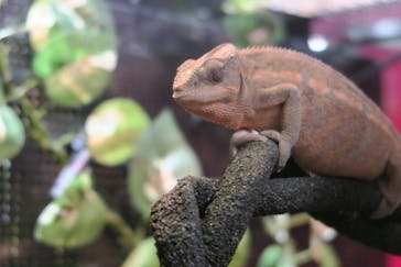 カワスイ 川崎⽔族館に投稿された画像（2021/11/24）