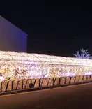 東京メガイルミに投稿された画像（2021/11/24）