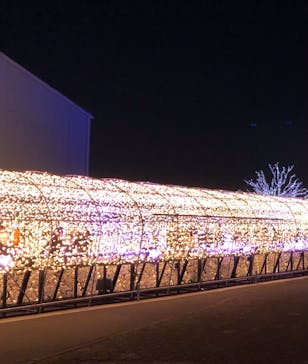 東京メガイルミに投稿された画像（2021/11/24）