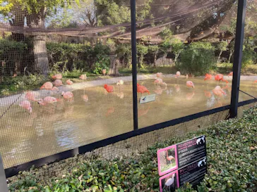 天王寺動物園に投稿された画像（2021/11/24）