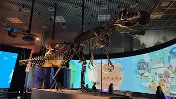 国立科学博物館に投稿された画像（2021/11/24）