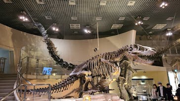 国立科学博物館に投稿された画像（2021/11/24）