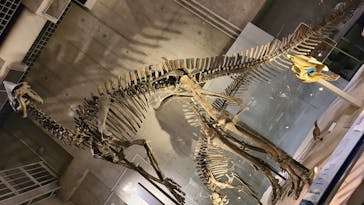 国立科学博物館に投稿された画像（2021/11/24）