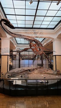 国立科学博物館に投稿された画像（2021/11/24）